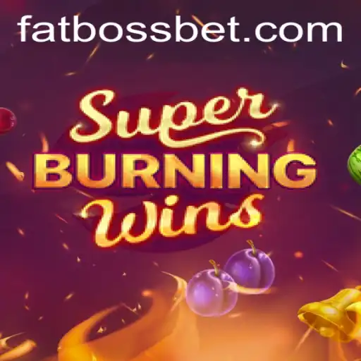 Exploring the Thrills and Mechanics of SuperBurningWins